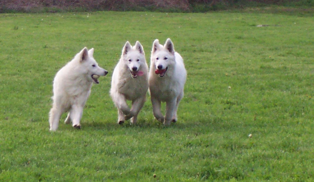 BBS EN PLEINE COURSE