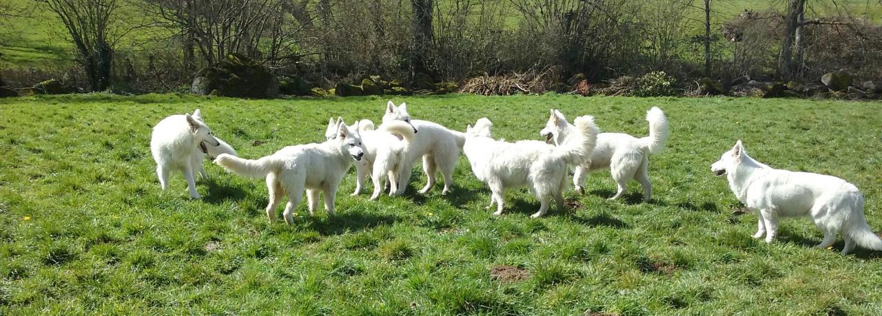 BBS des chemins du Poitou