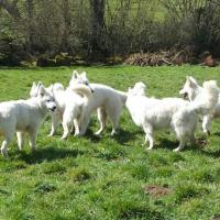 BBS des chemins du Poitou