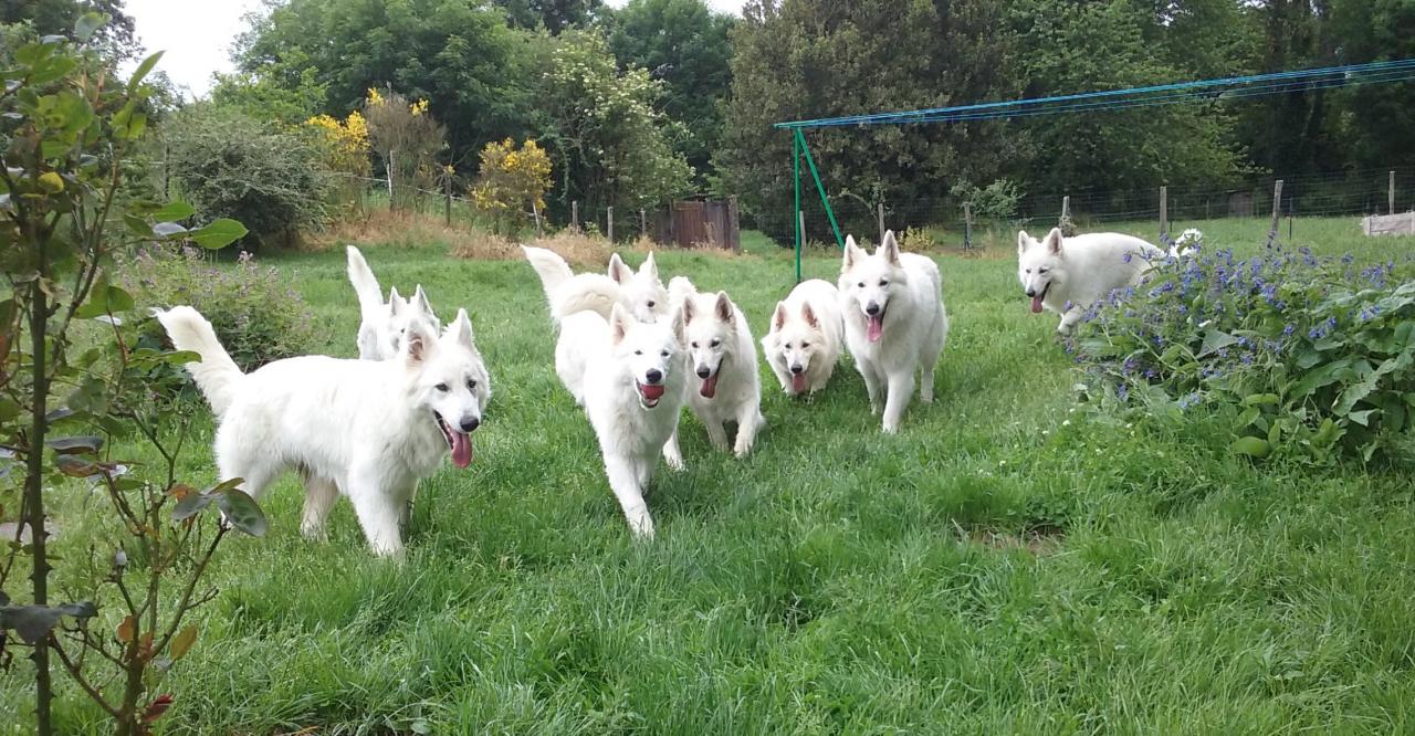 Bbs des chemins du Poitou