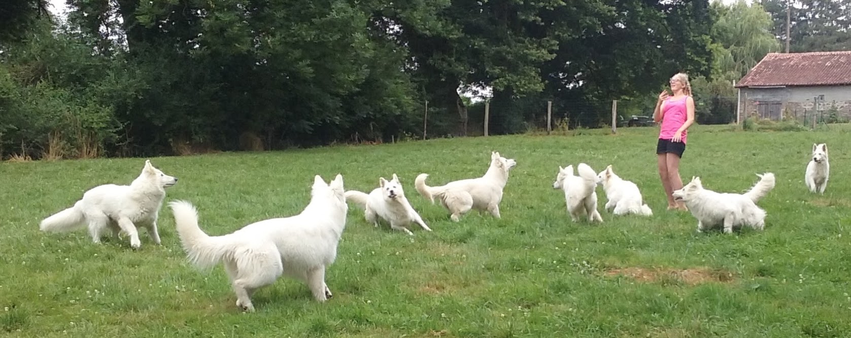 Les blancs en folie avec Romane