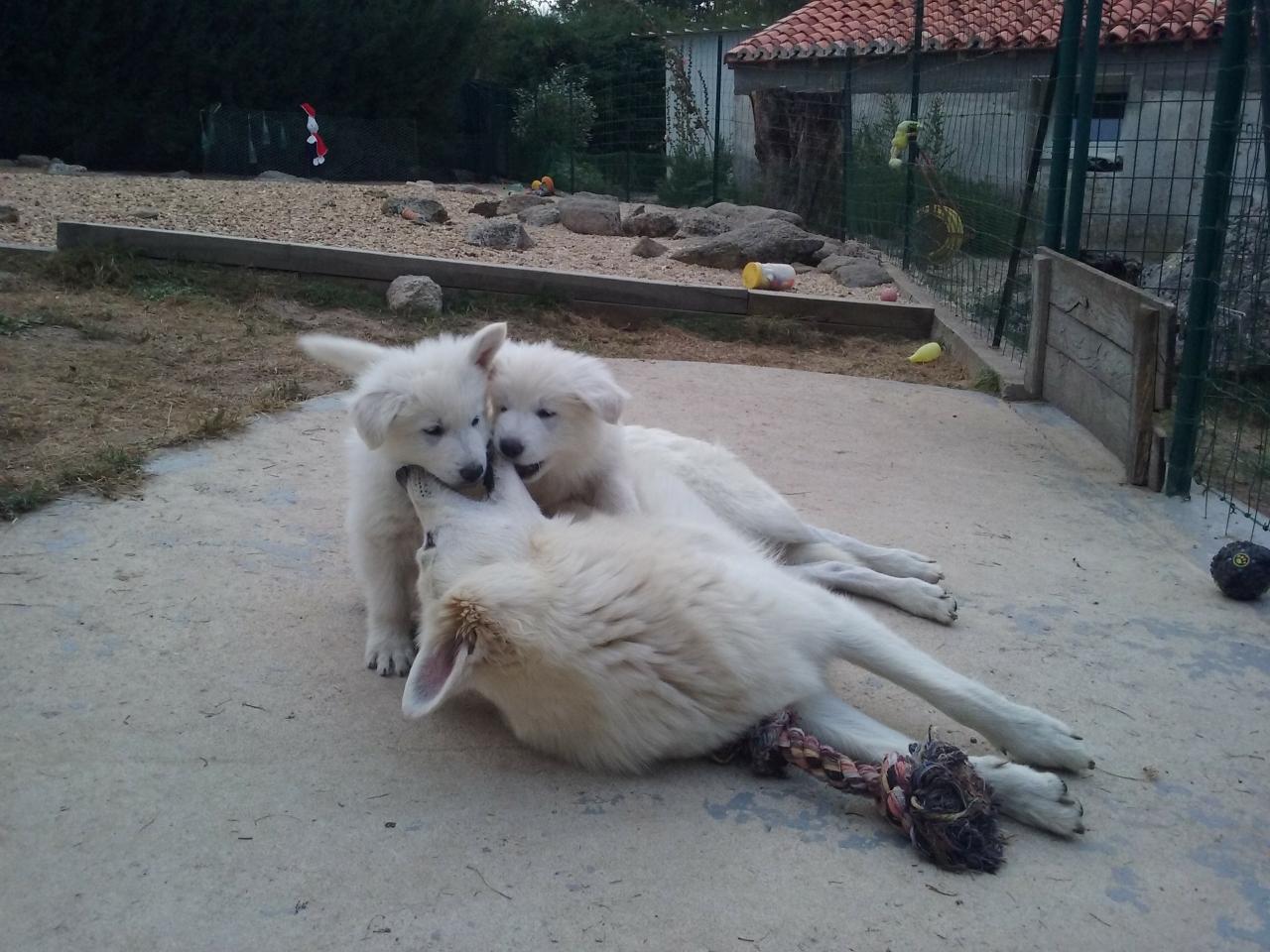 Maman Gloup's, pleine de tendresse