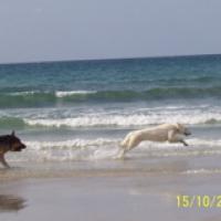 DSCHUBBA AU BORD DE MER