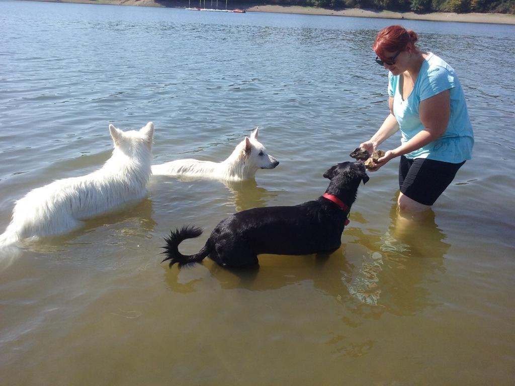 ballade avec Diane