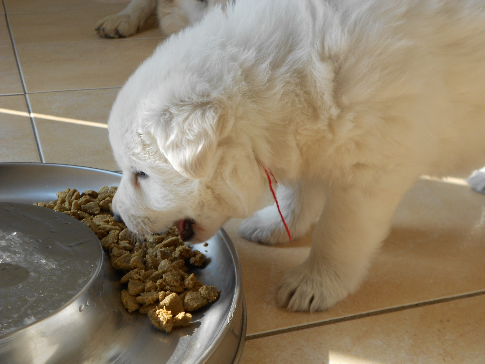 on ne rate jamais un repas !