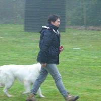 DIABOLO brevet obéissance MARCHE AUX PIEDS