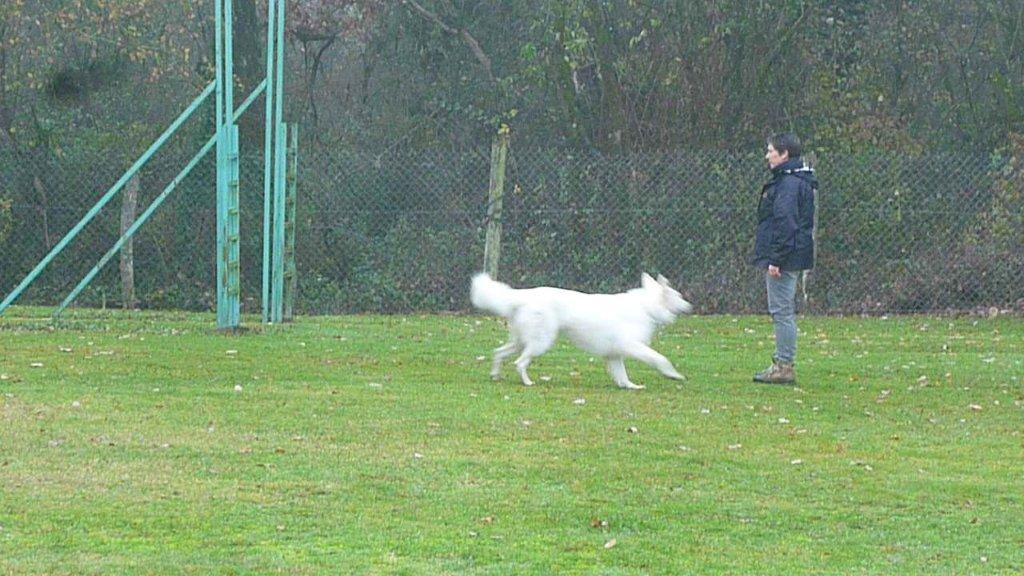 DIABOLO  RAPPEL