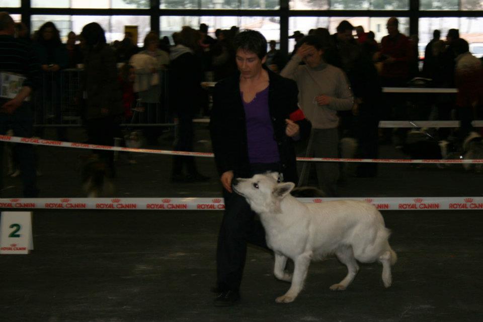 Fastoch' des gardiens du pacte 