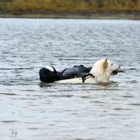 St hilaire de riez rapport du mannequin avec tommy 3