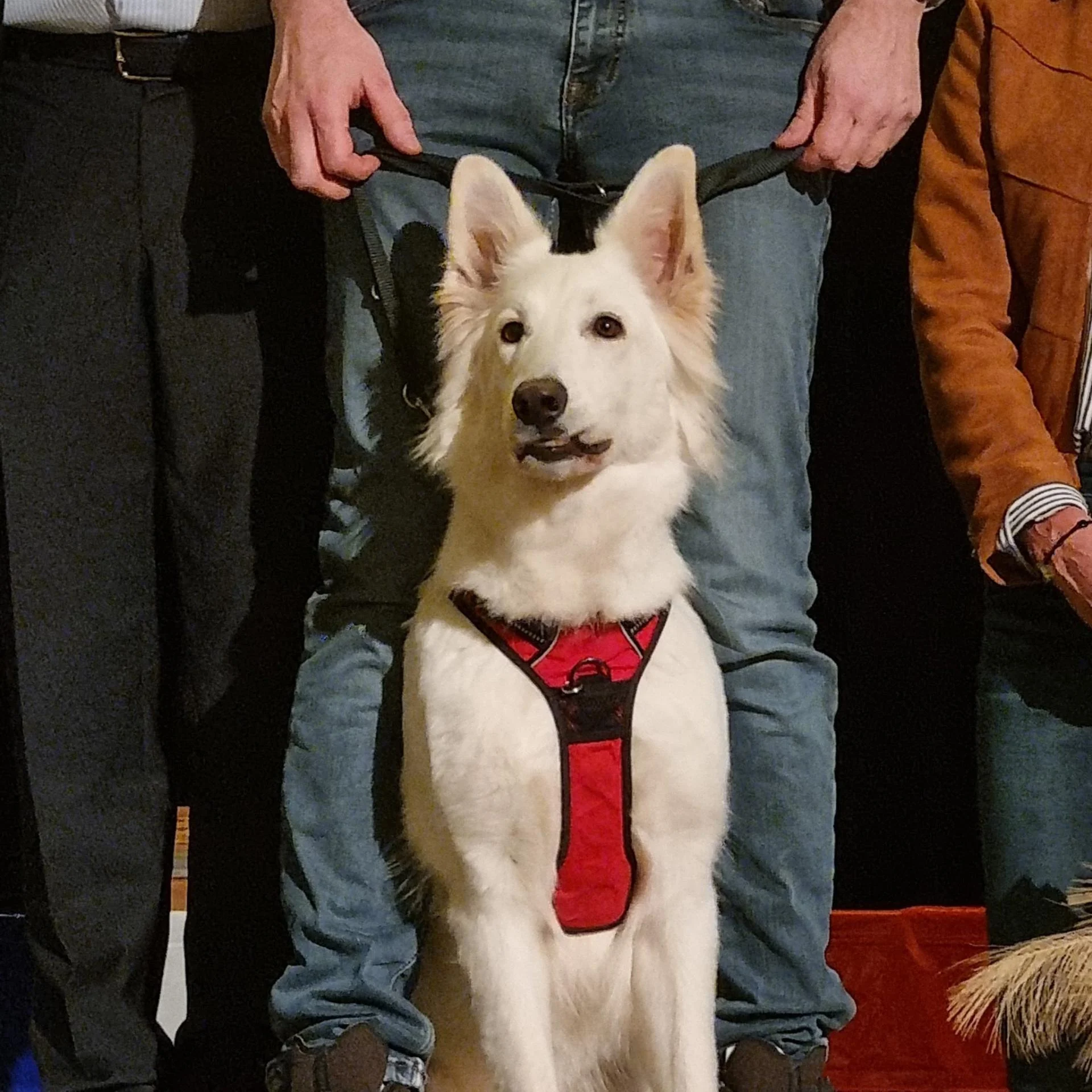 630704390 10235193914006751 1913904283726653351 n