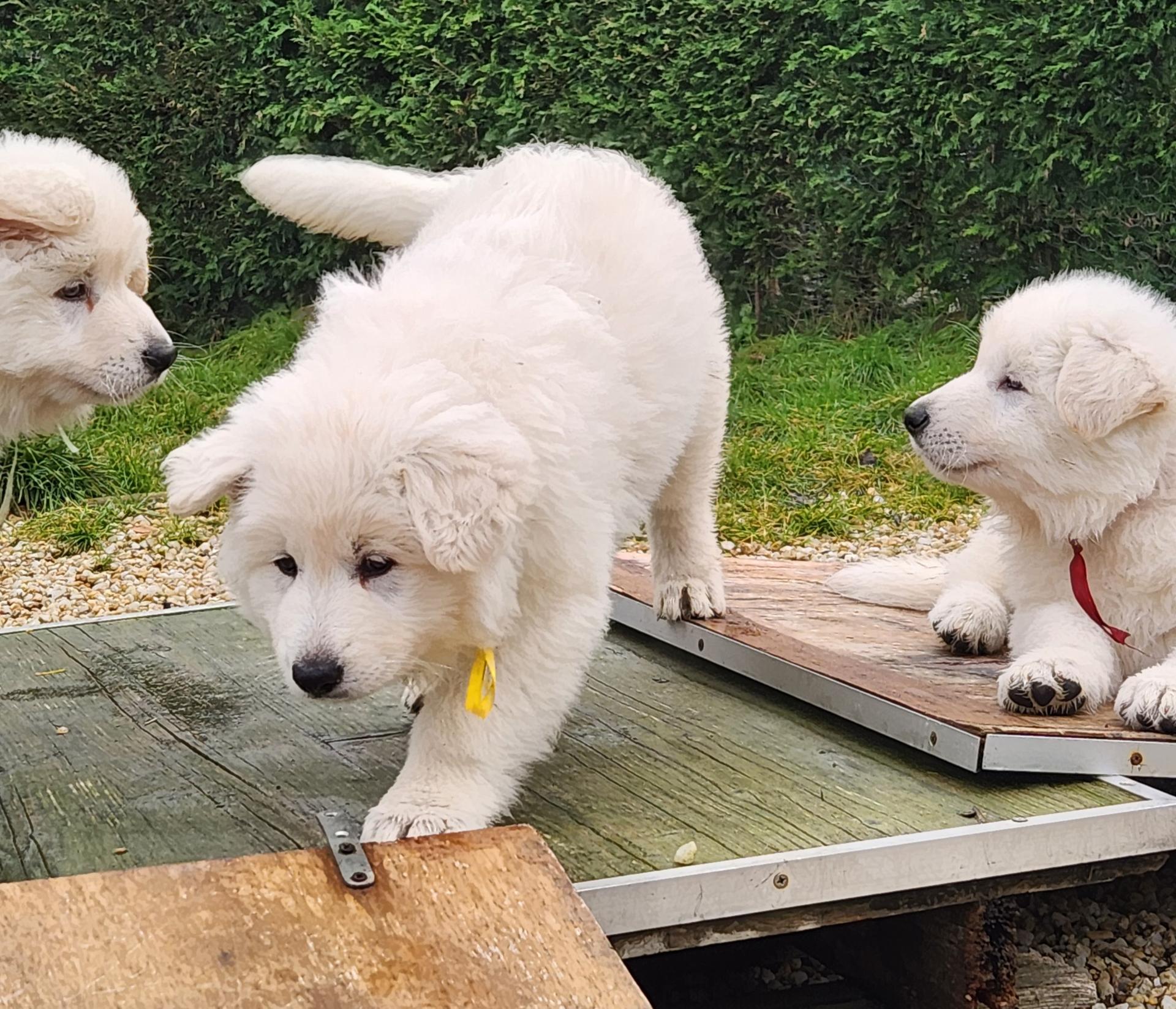 Original b953f4b8 7946 4b71 9dd2 e95082e255e4 20260119 125329