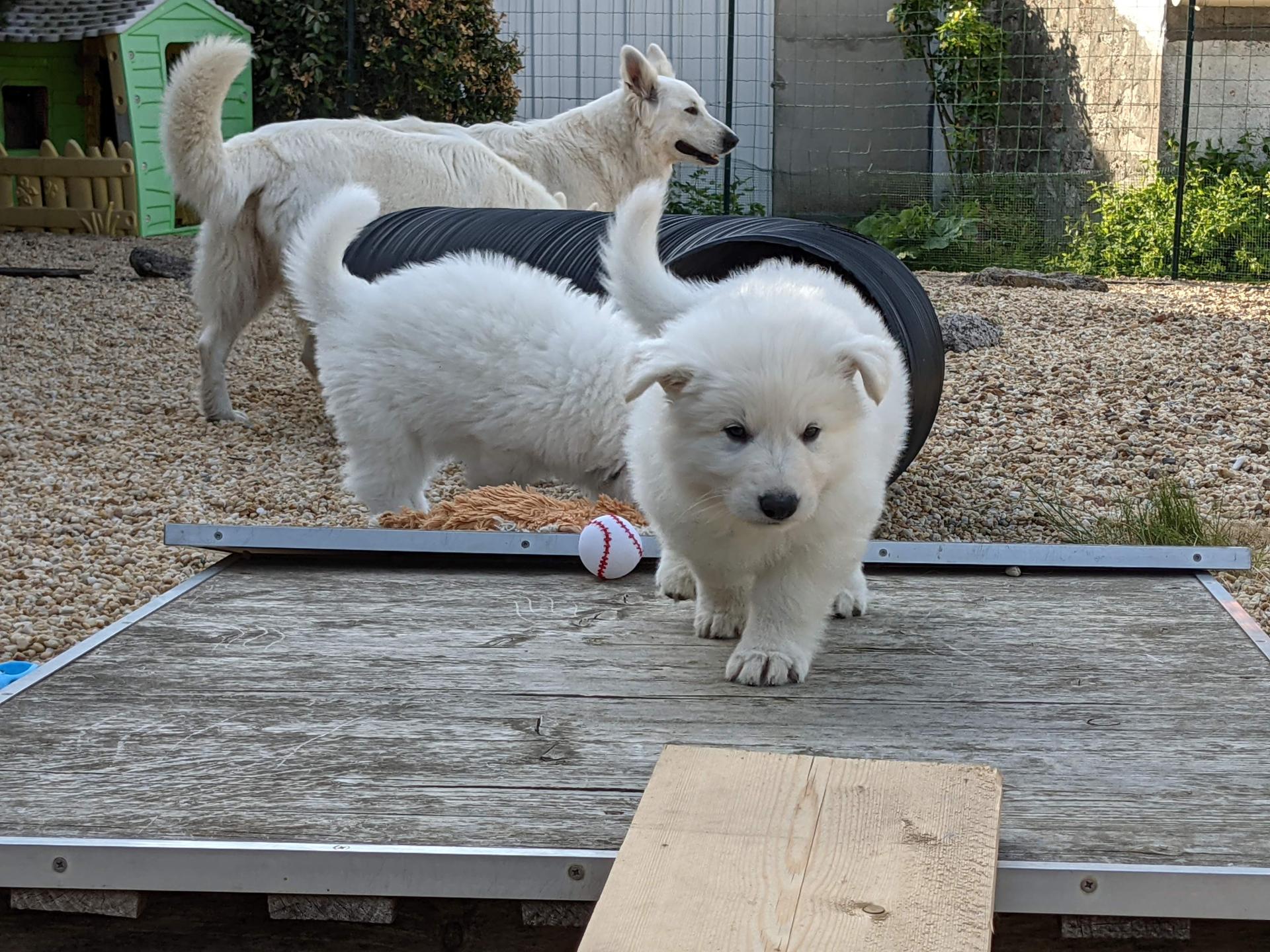 Pxl 20210508 165146702