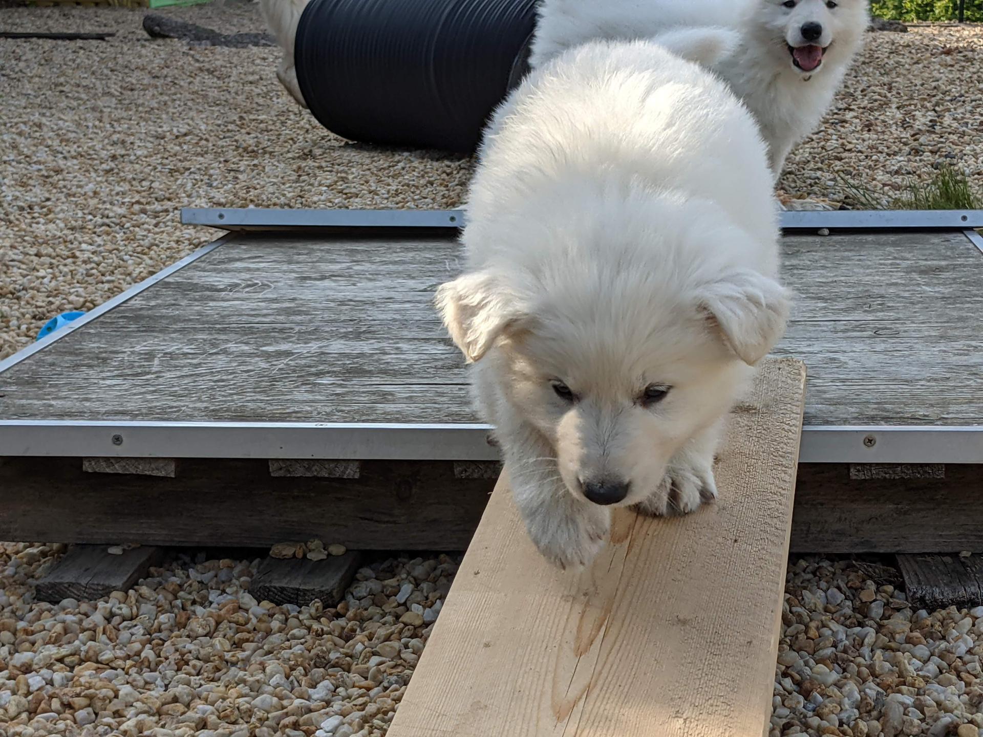 Pxl 20210508 165148867