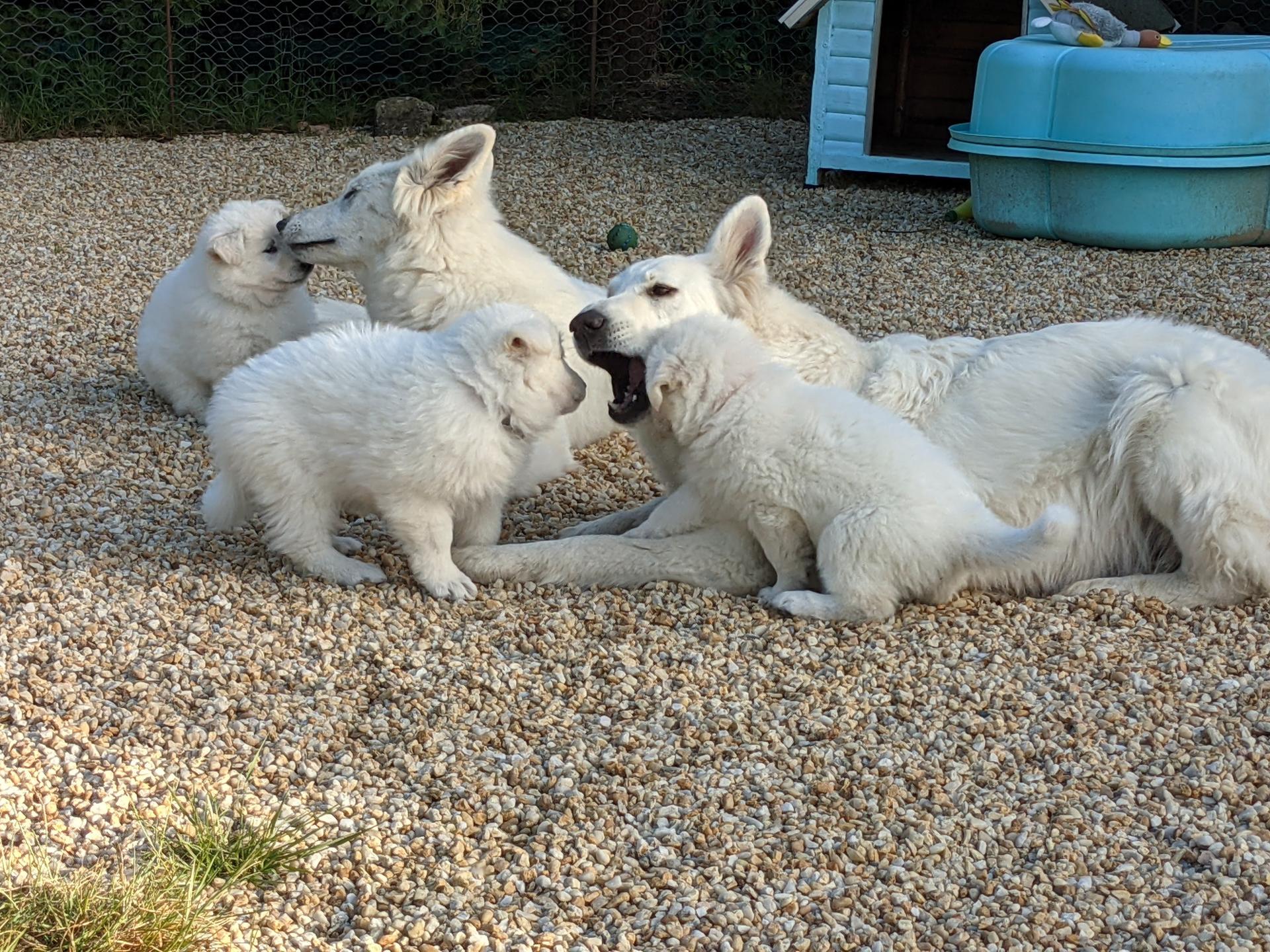 Pxl 20210510 173914497 mp 1