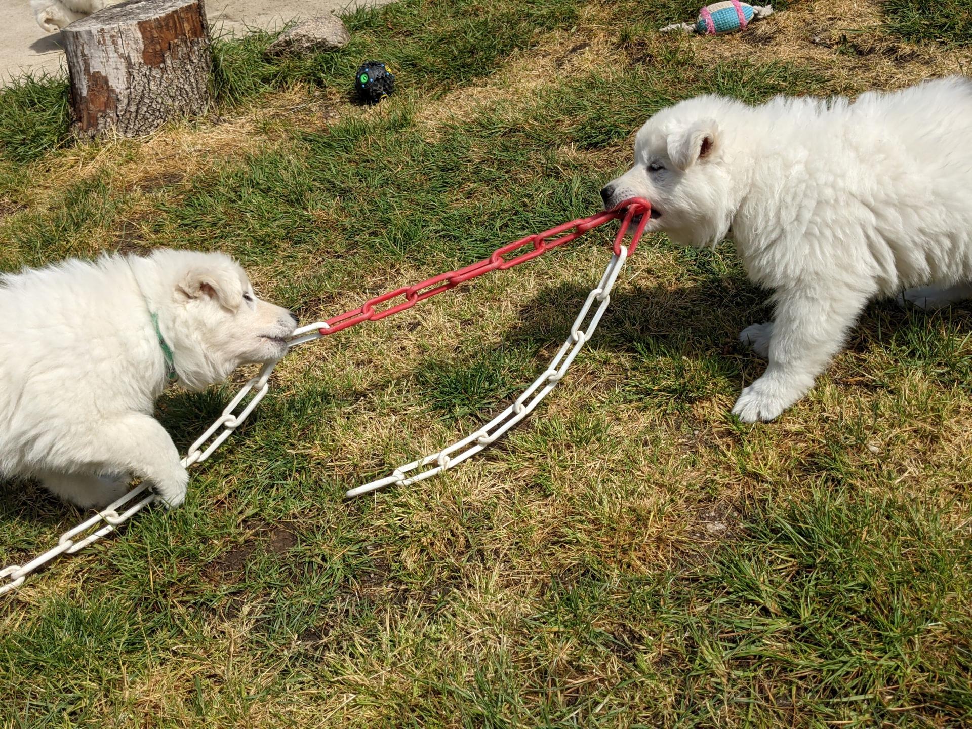 Pxl 20210511 114230225