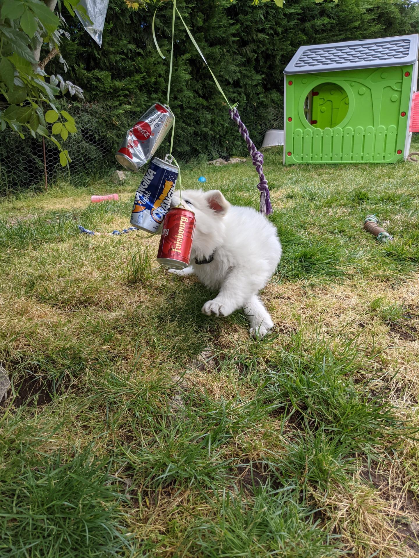 Pxl 20210511 160215381