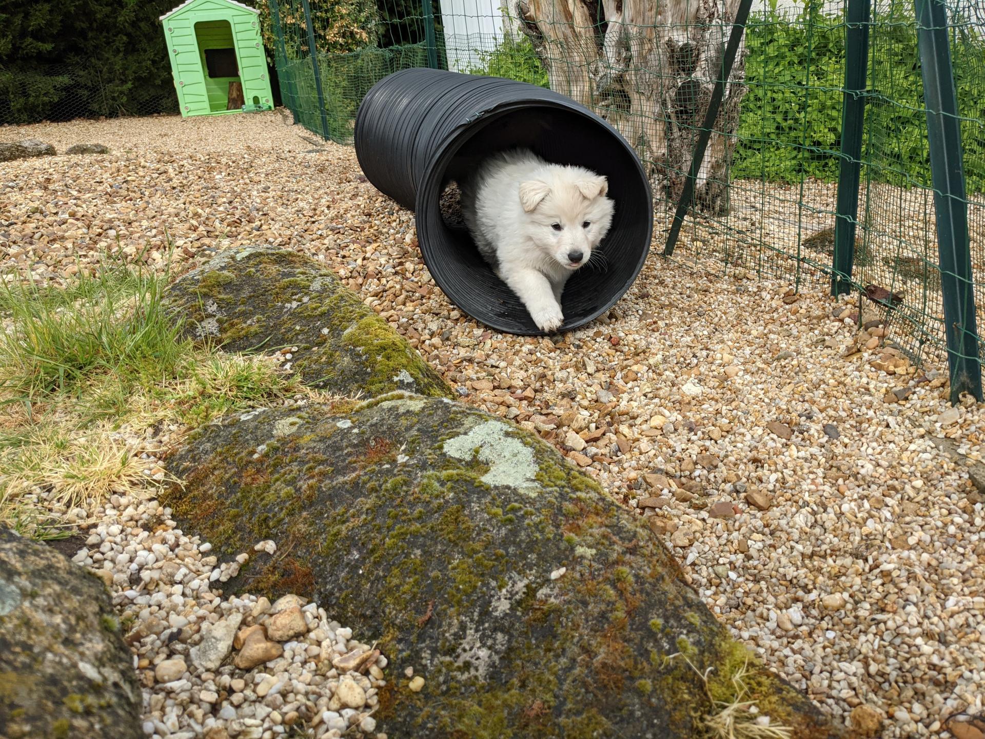 Pxl 20210511 82816075