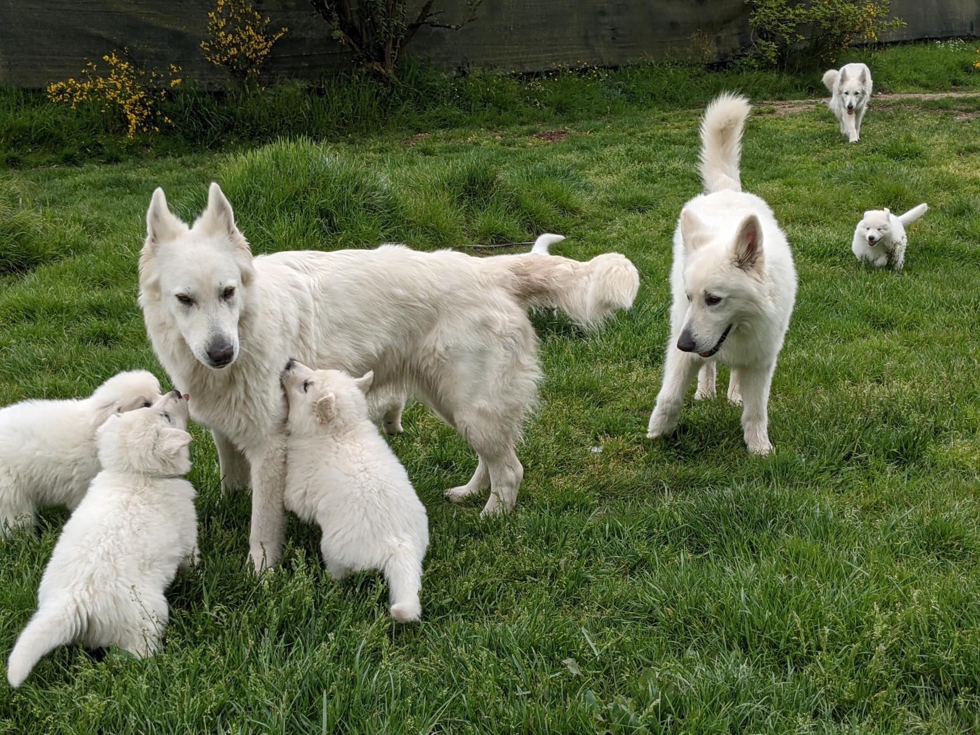 Pxl 20210512 122134047