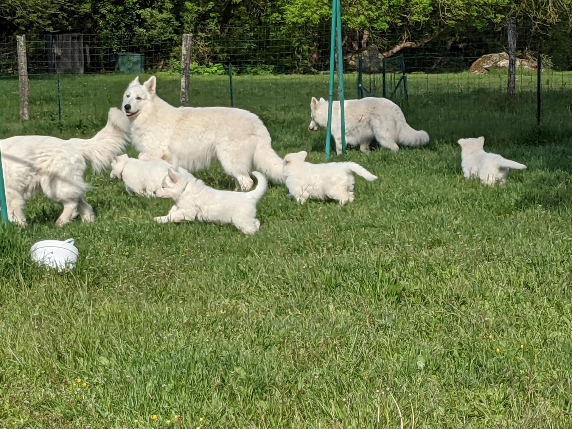 Pxl 20210514 075128682