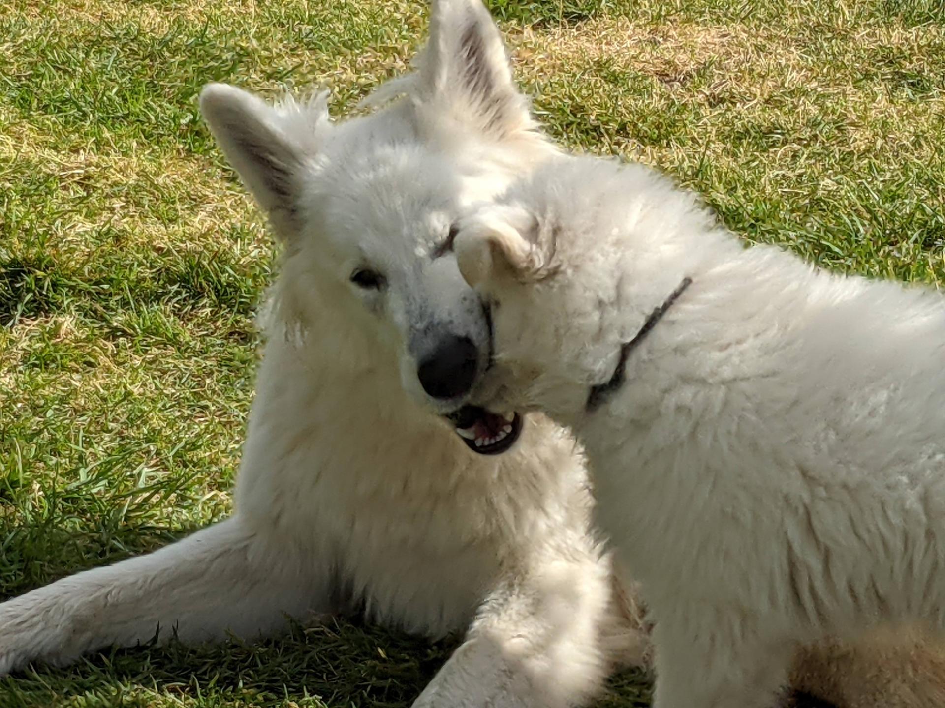 Pxl 20210515 154215828 mp