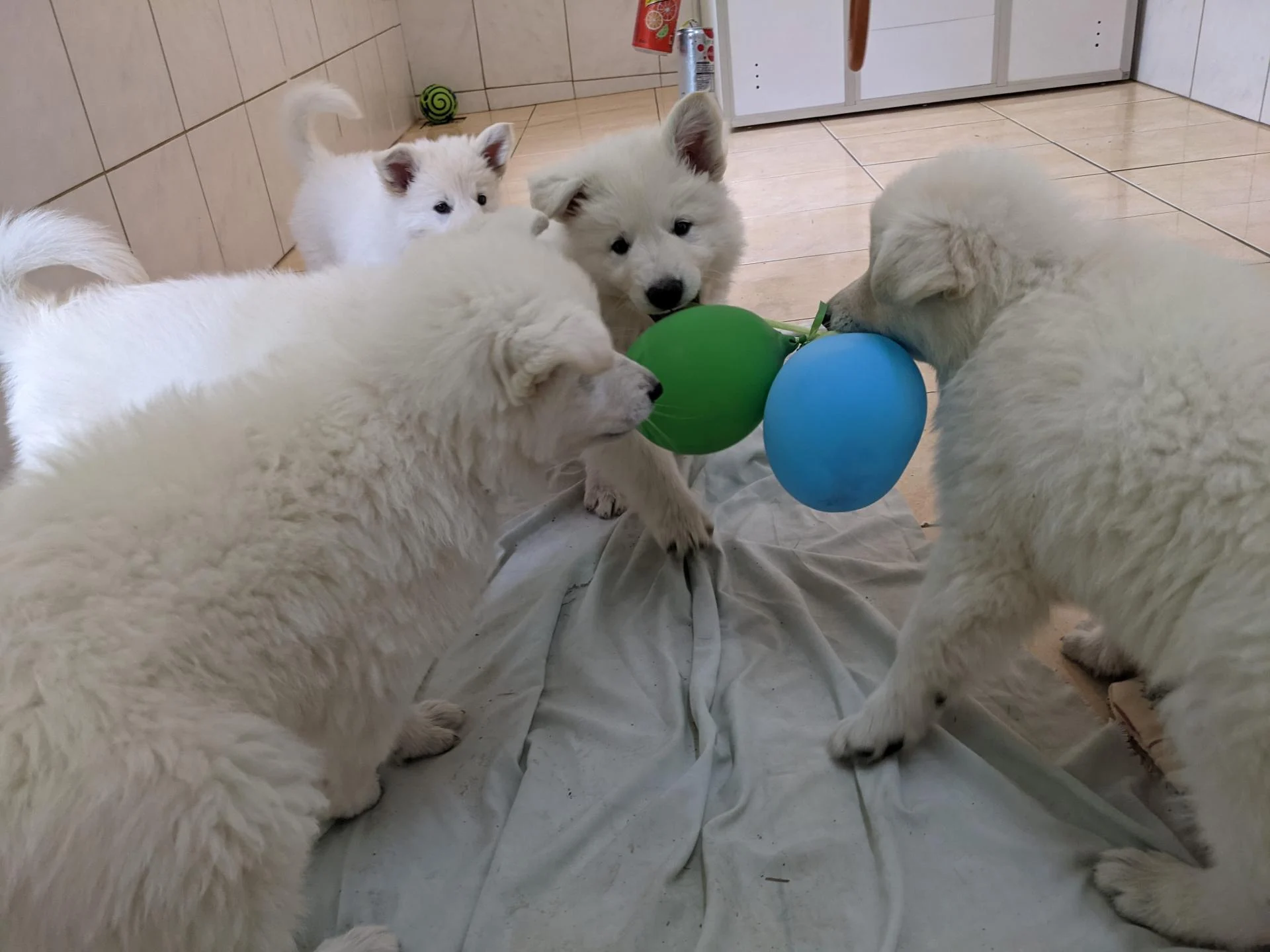 Pxl 20210517 122531948