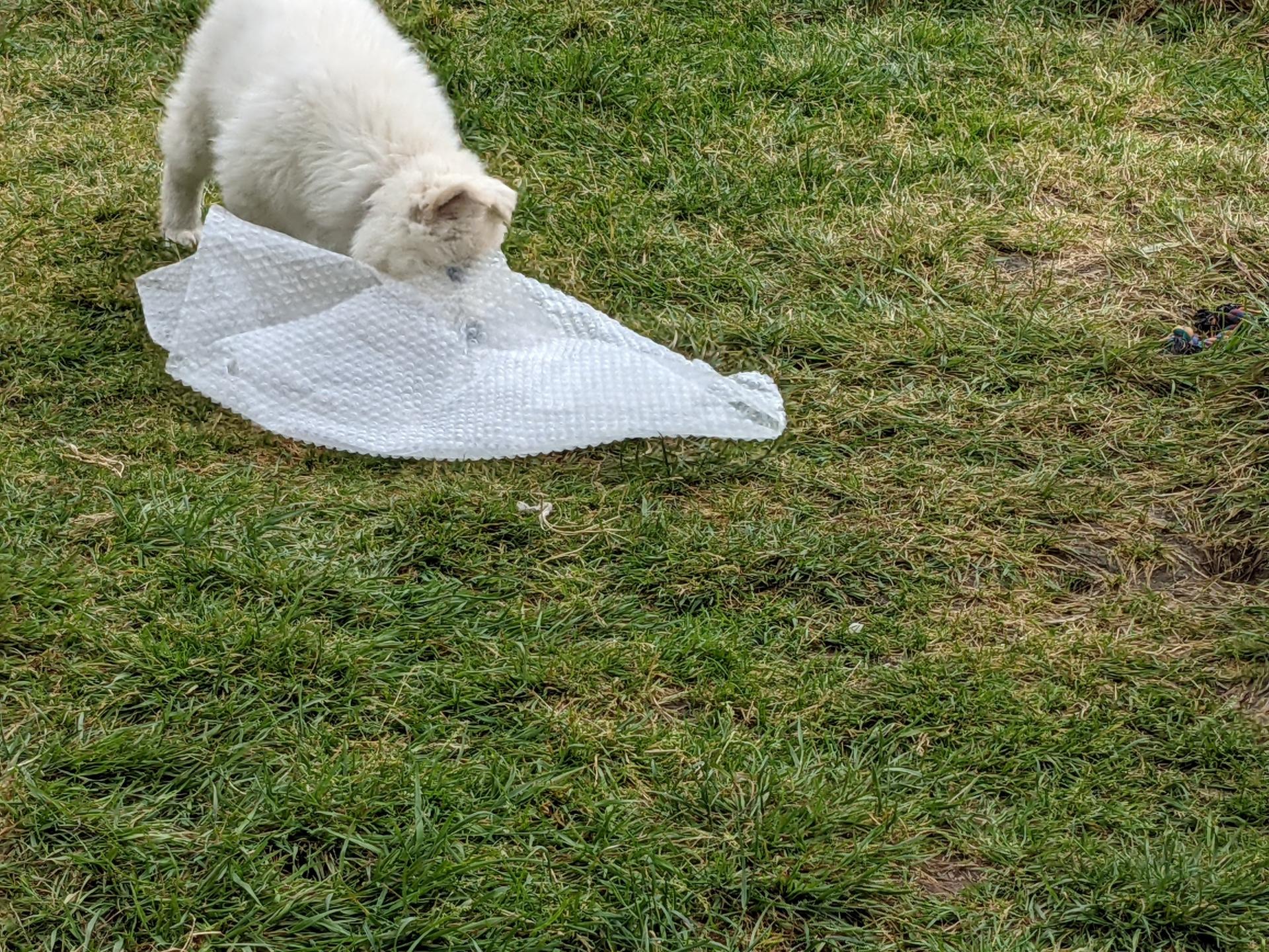 Pxl 20210518 150928849