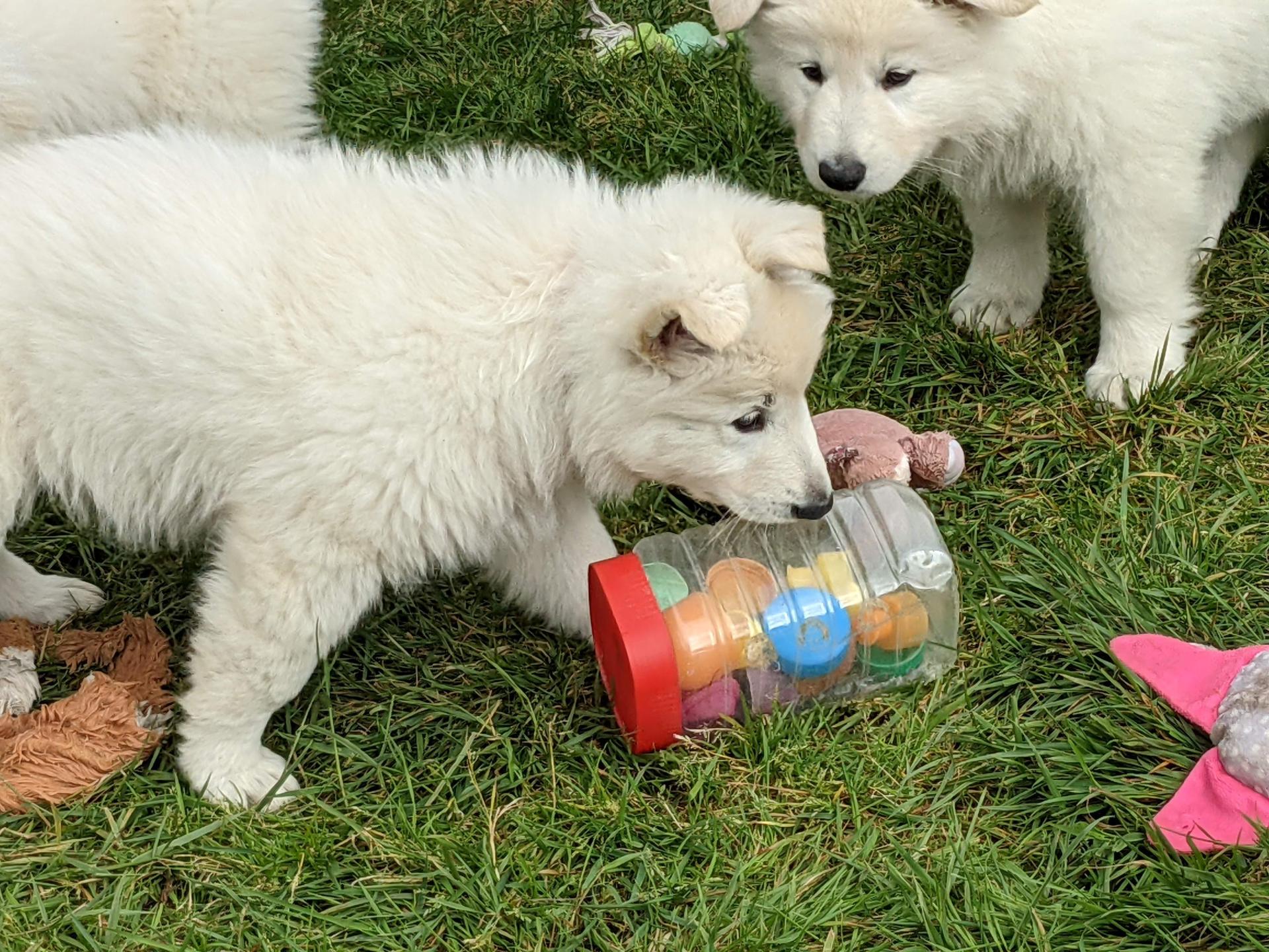 Pxl 20210518 151114073