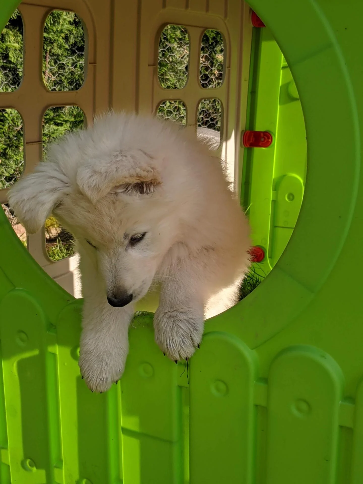 Pxl 20210518 172442247